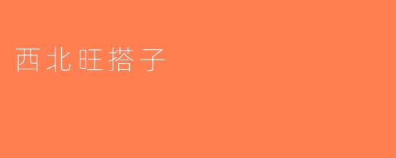 西北旺搭子
