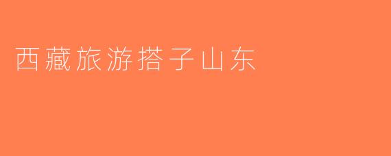 西藏旅游搭子山东
