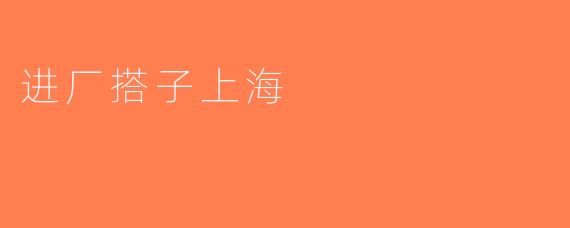 进厂搭子上海