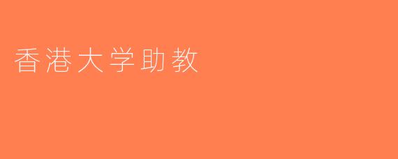 香港大学助教
