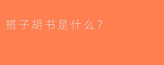 搭子胡书是什么？