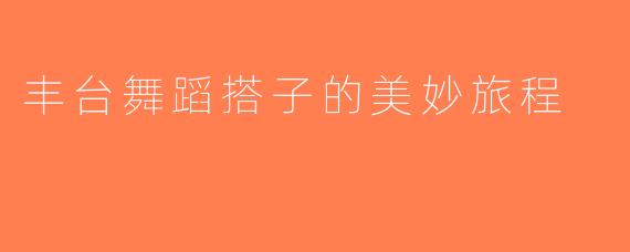 丰台舞蹈搭子的美妙旅程