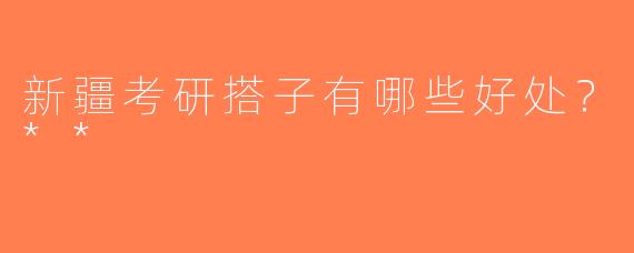 新疆考研搭子有哪些好处？**
