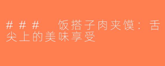### 饭搭子肉夹馍：舌尖上的美味享受