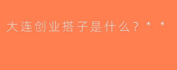 大连创业搭子是什么？**