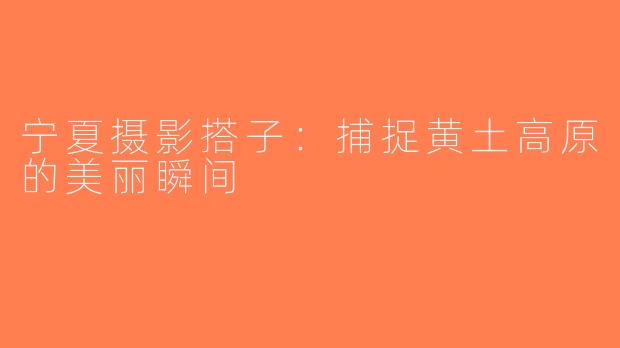 宁夏摄影搭子：捕捉黄土高原的美丽瞬间