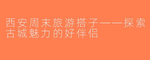 西安周末旅游搭子——探索古城魅力的好伴侣