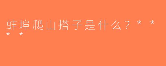 蚌埠爬山搭子是什么？****