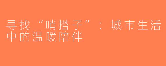 寻找“哨搭子”：城市生活中的温暖陪伴