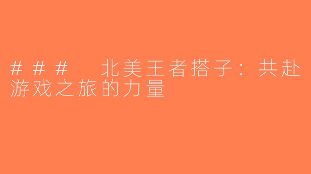 ### 北美王者搭子：共赴游戏之旅的力量