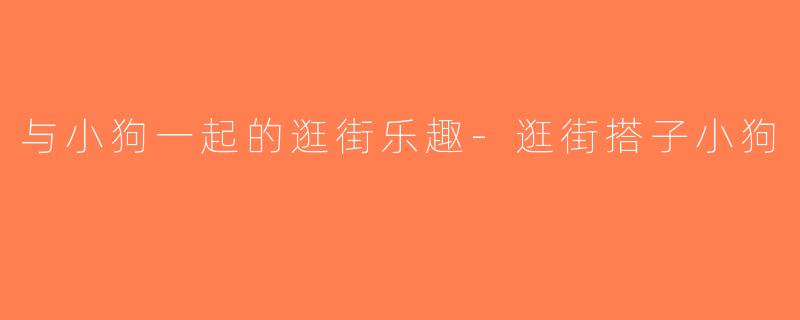 与小狗一起的逛街乐趣-逛街搭子小狗