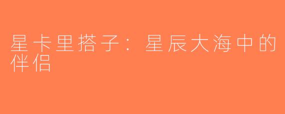 星卡里搭子：星辰大海中的伴侣