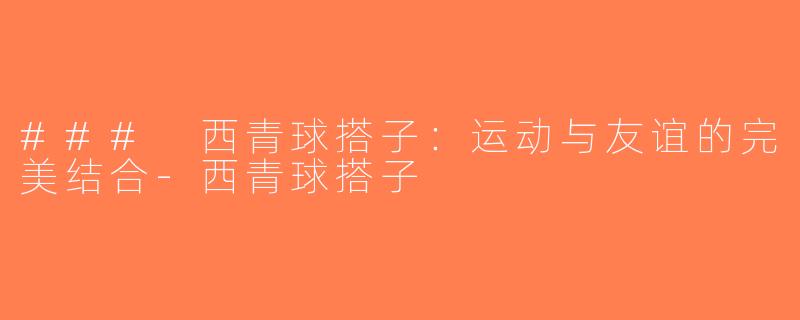 ### 西青球搭子：运动与友谊的完美结合-西青球搭子