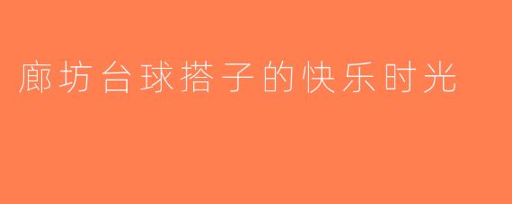廊坊台球搭子的快乐时光