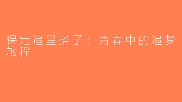 保定追星搭子：青春中的追梦旅程