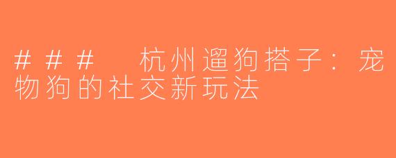 ### 杭州遛狗搭子：宠物狗的社交新玩法
