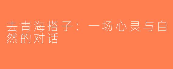 去青海搭子：一场心灵与自然的对话