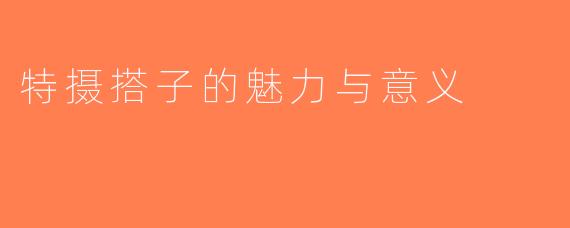 特摄搭子的魅力与意义