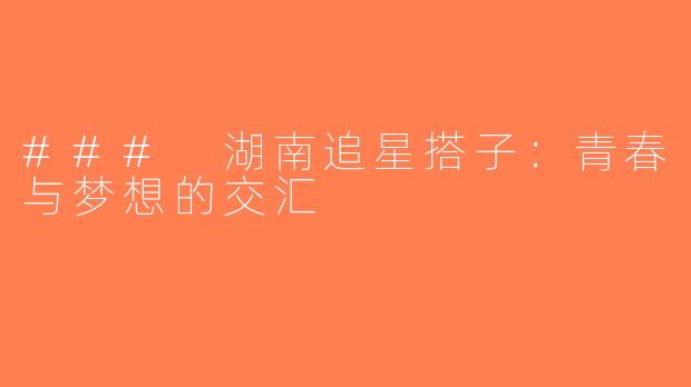 ### 湖南追星搭子：青春与梦想的交汇