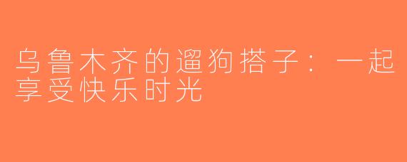 乌鲁木齐的遛狗搭子：一起享受快乐时光