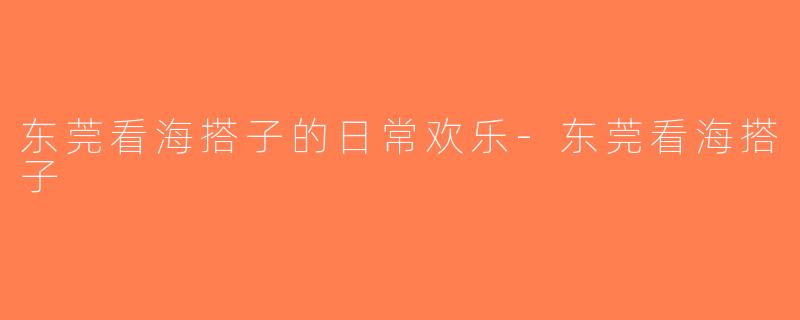东莞看海搭子的日常欢乐-东莞看海搭子