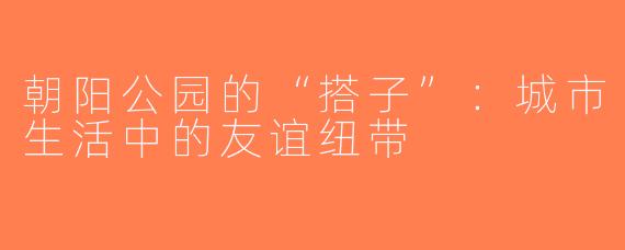 朝阳公园的“搭子”：城市生活中的友谊纽带