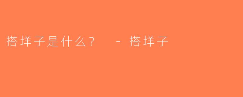 搭垟子是什么？ -搭垟子