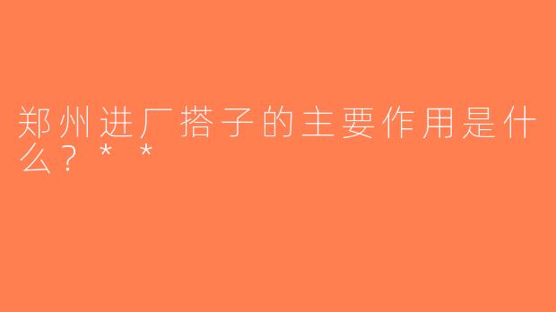 郑州进厂搭子的主要作用是什么？**