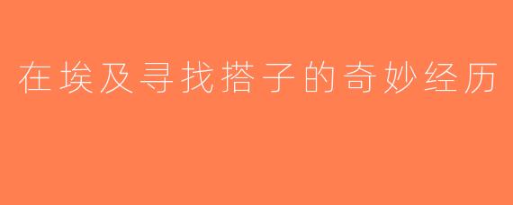 在埃及寻找搭子的奇妙经历
