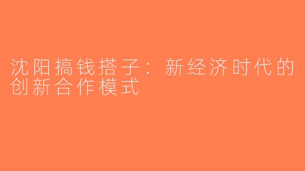 沈阳搞钱搭子：新经济时代的创新合作模式