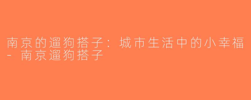 南京的遛狗搭子：城市生活中的小幸福-南京遛狗搭子