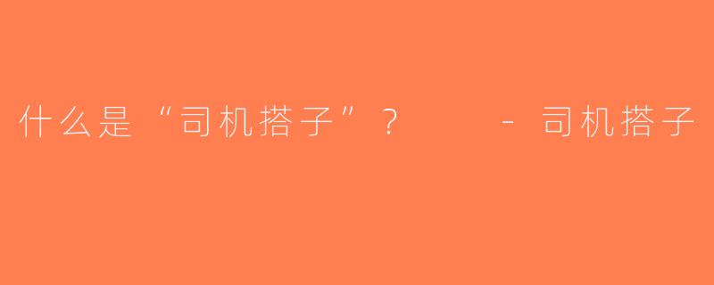 什么是“司机搭子”？  -司机搭子