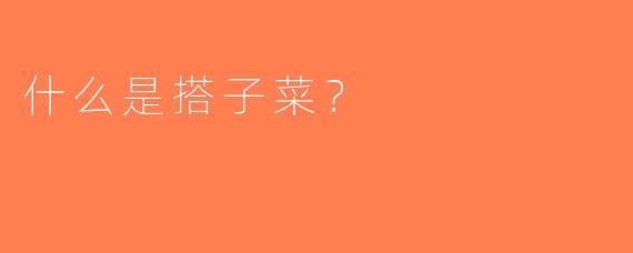 什么是搭子菜？