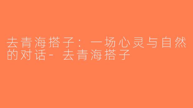 去青海搭子：一场心灵与自然的对话-去青海搭子