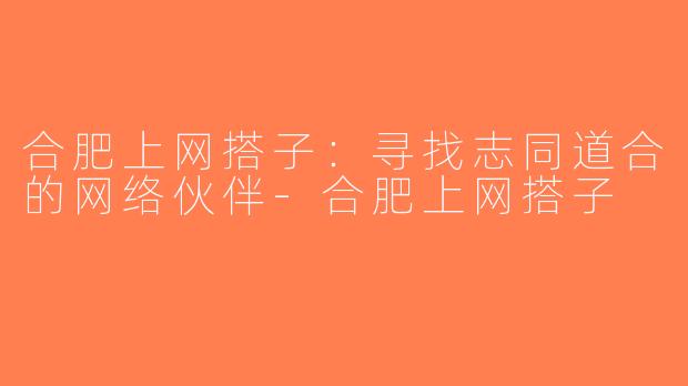 合肥上网搭子：寻找志同道合的网络伙伴-合肥上网搭子