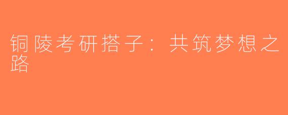 铜陵考研搭子：共筑梦想之路
