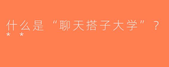 什么是“聊天搭子大学”？**
