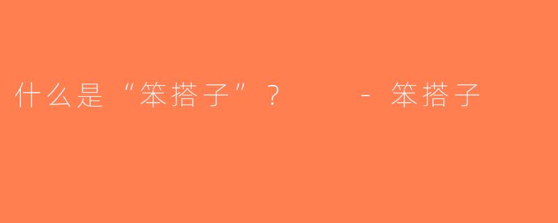 什么是“笨搭子”？  -笨搭子