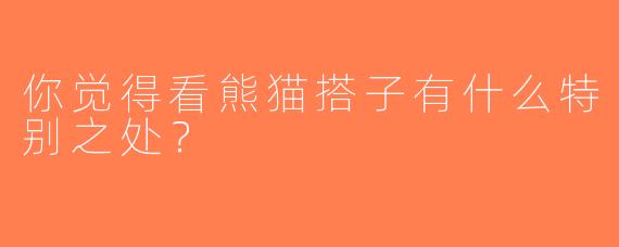 你觉得看熊猫搭子有什么特别之处？