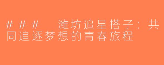 ### 潍坊追星搭子：共同追逐梦想的青春旅程