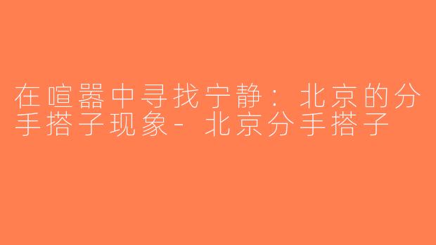 在喧嚣中寻找宁静：北京的分手搭子现象-北京分手搭子