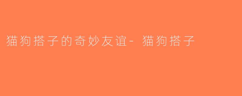 猫狗搭子的奇妙友谊-猫狗搭子