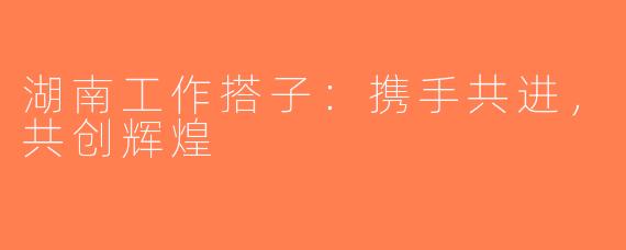 湖南工作搭子：携手共进，共创辉煌