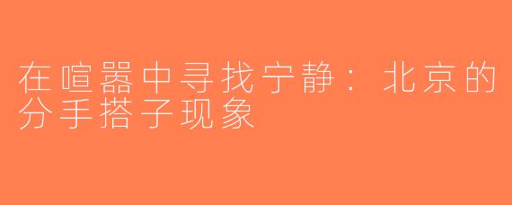 在喧嚣中寻找宁静：北京的分手搭子现象