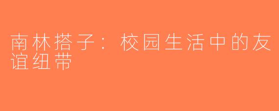 南林搭子：校园生活中的友谊纽带