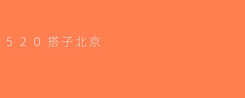520搭子北京