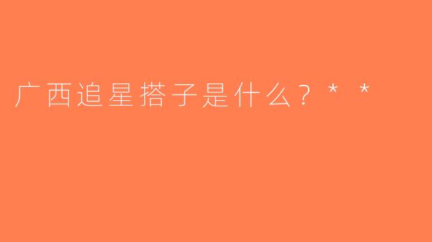 广西追星搭子是什么？**
