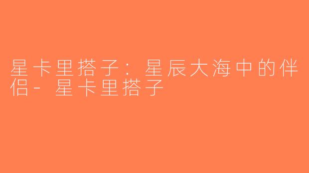 星卡里搭子：星辰大海中的伴侣-星卡里搭子