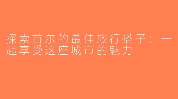 探索首尔的最佳旅行搭子：一起享受这座城市的魅力