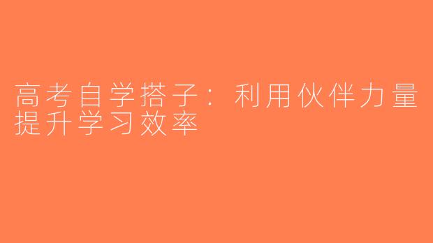 高考自学搭子：利用伙伴力量提升学习效率